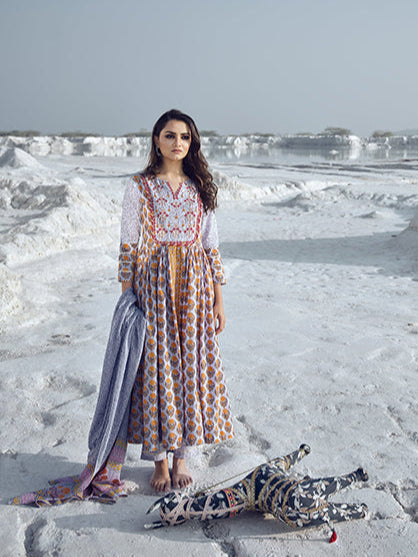 Elegant Multicolor Suit | Cotton top bottom with dupatta