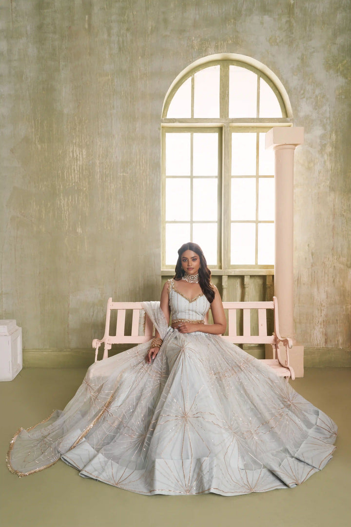 Light Gray Butterfly Net Lehenga Choli | Sequins & Thread Embroidery Party Wear