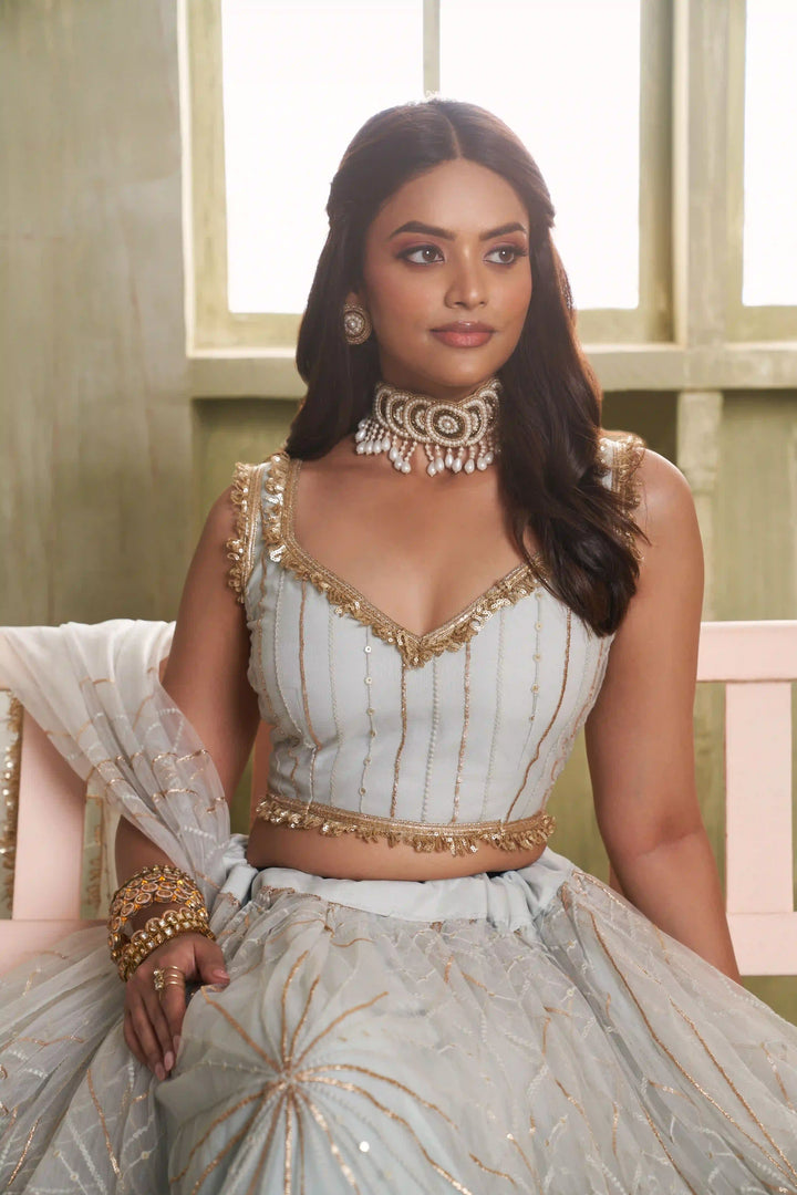 Light Gray Butterfly Net Lehenga Choli | Sequins & Thread Embroidery Party Wear