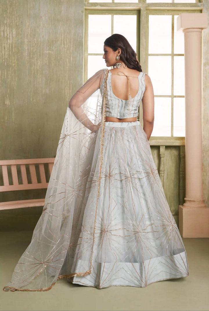 Light Gray Butterfly Net Lehenga Choli | Sequins & Thread Embroidery Party Wear