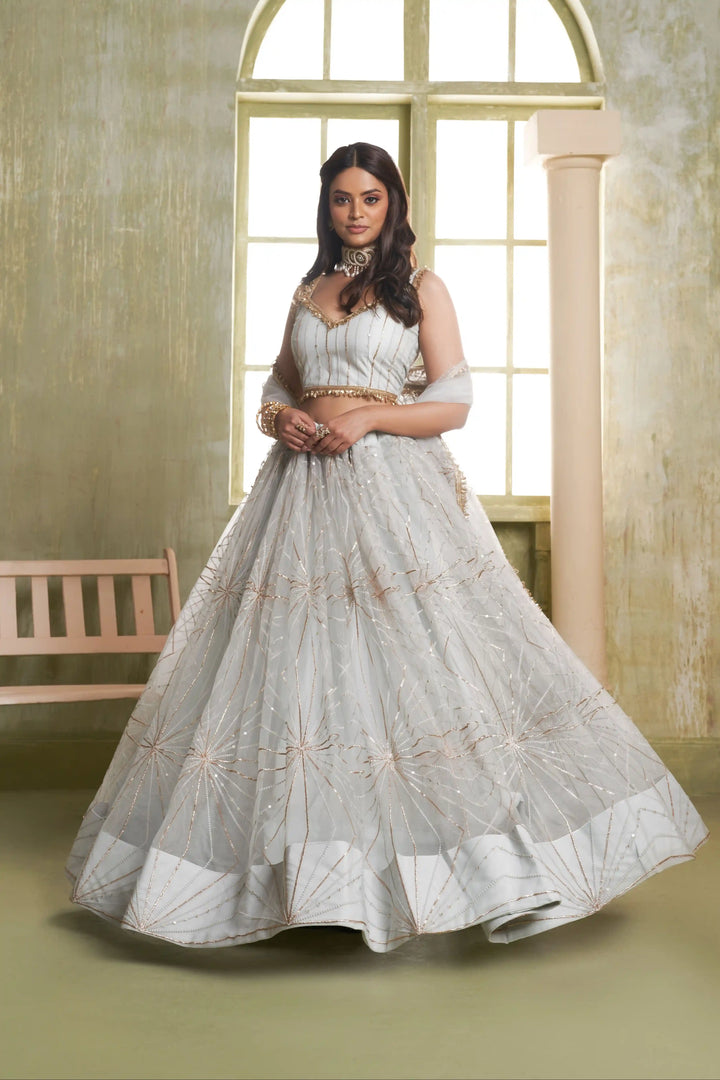 Light Gray Butterfly Net Lehenga Choli | Sequins & Thread Embroidery Party Wear