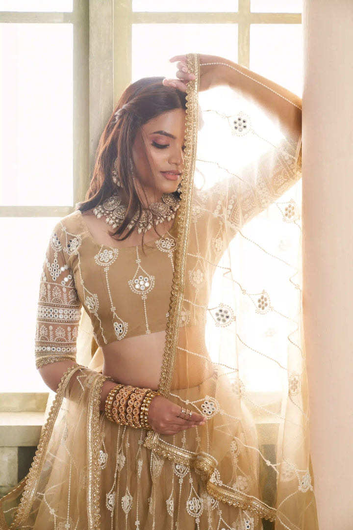Light Brown Butterfly Net Lehenga Choli | Sequins & Mirror Embroidery Party Wear
