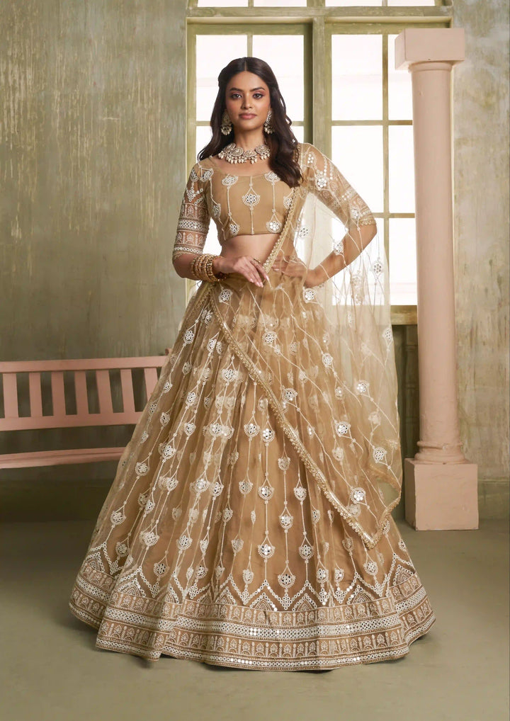 Light Brown Butterfly Net Lehenga Choli | Sequins & Mirror Embroidery Party Wear