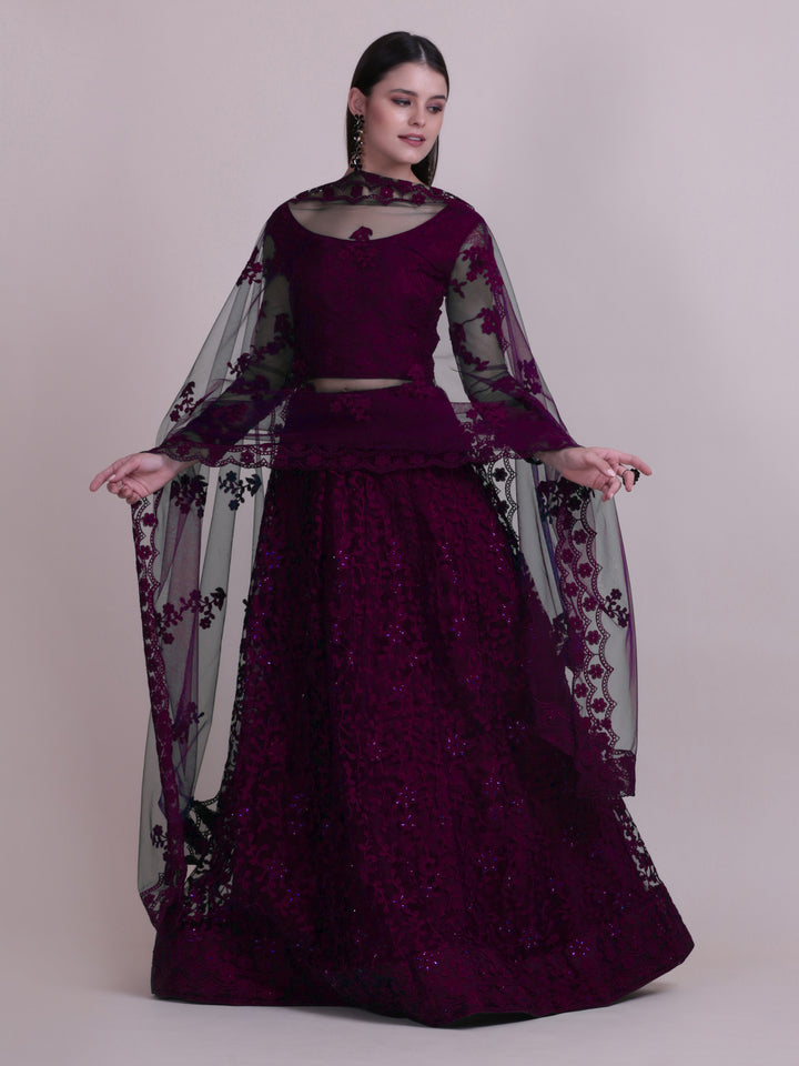 Elegant Net Lehenga Set | Sequins & Embroidery Wedding & Festive Wear