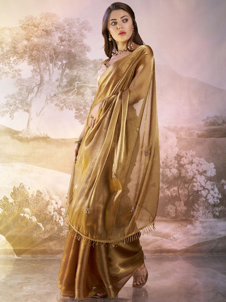 Traditional Tawny Brown Saree | Burberry Organza & Fancy Art Silk Blouse