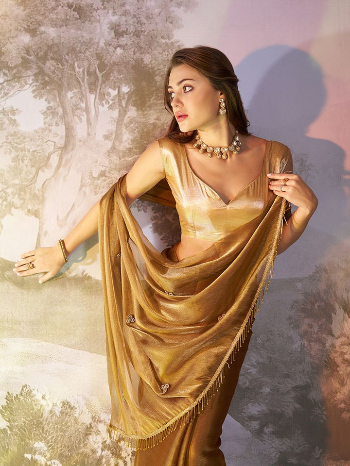 Traditional Tawny Brown Saree | Burberry Organza & Fancy Art Silk Blouse