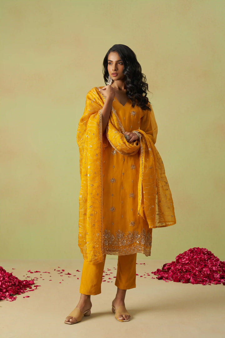 Festive Shimmer Organza Suit | Rayon Bottom & Designer Embroidery Detailing