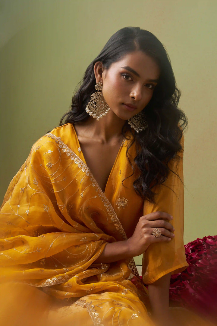 Festive Shimmer Organza Suit | Rayon Bottom & Designer Embroidery Detailing