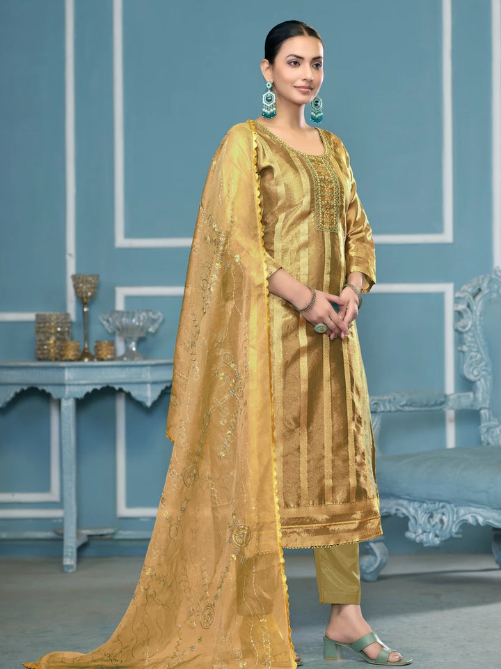 Elegant Viscose Organza Salwar Kameez | Embroidered & Handwork