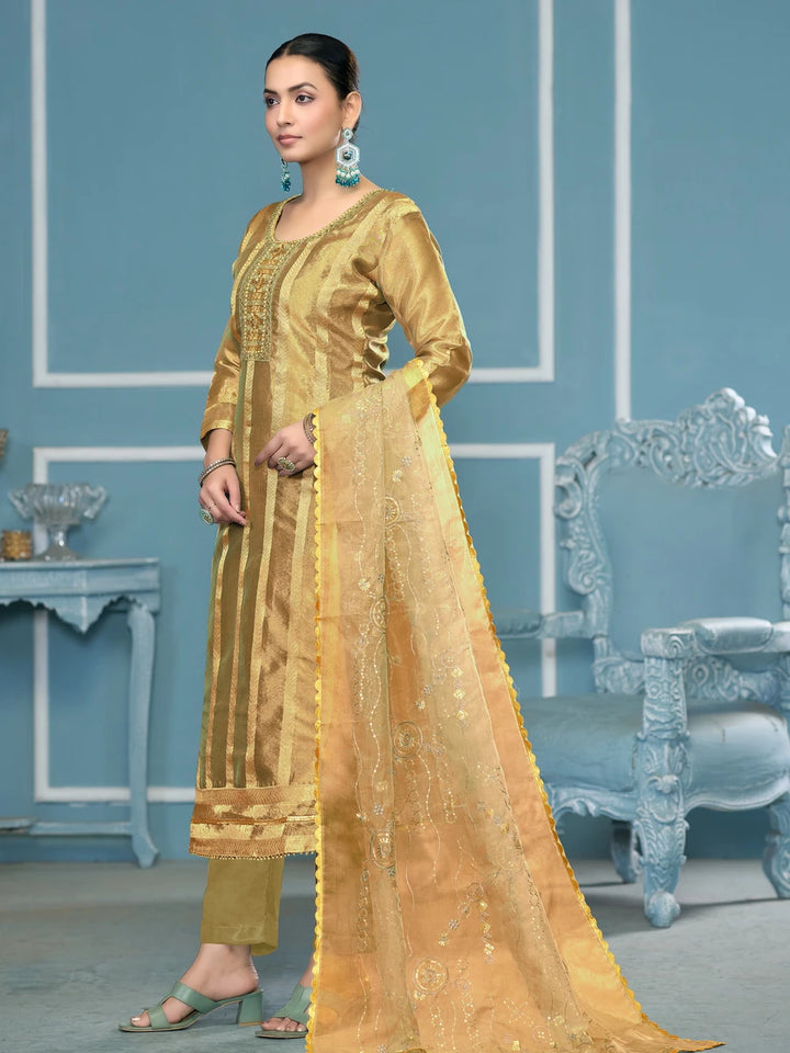 Elegant Viscose Organza Salwar Kameez | Embroidered & Handwork