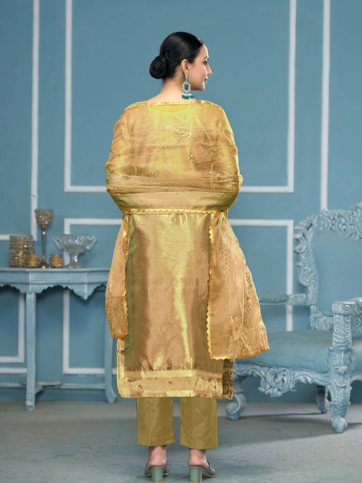 Elegant Viscose Organza Salwar Kameez | Embroidered & Handwork