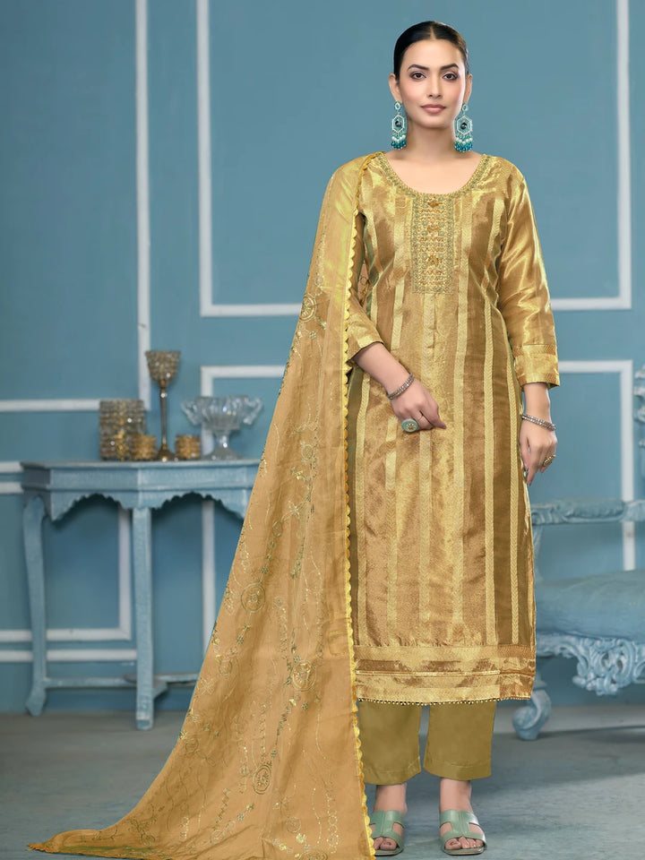 Elegant Viscose Organza Salwar Kameez | Embroidered & Handwork
