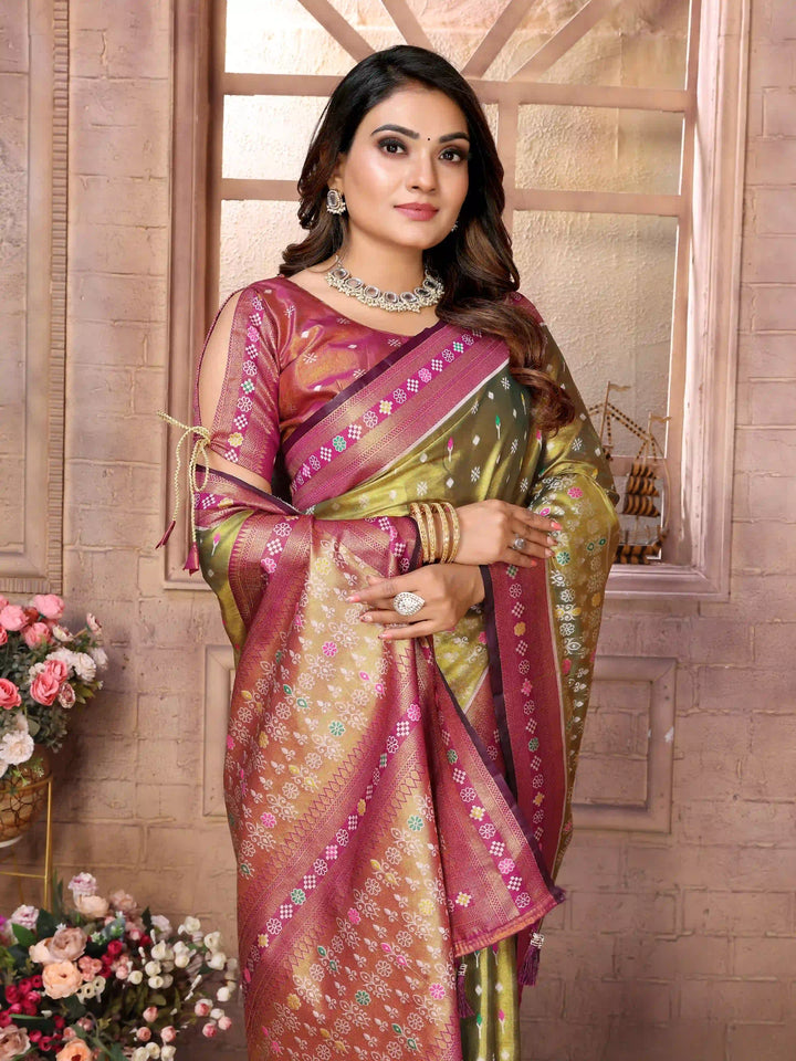 Graceful Patola Wevon Saree in Banarasi Tissue Silk