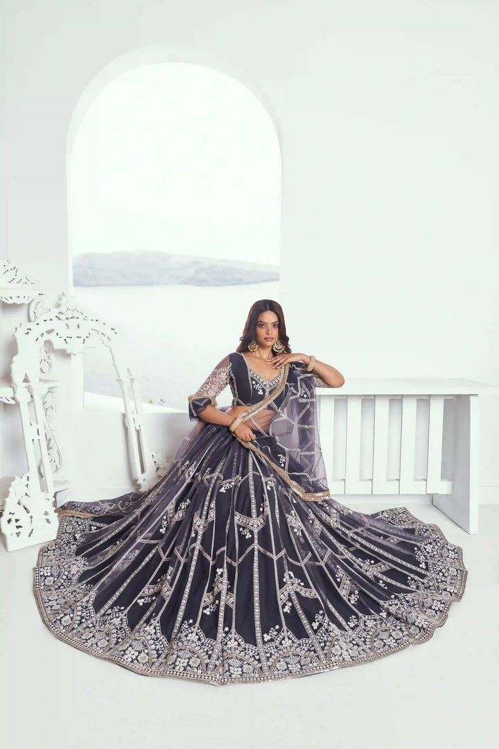 Ethereal Butterfly Net Lehenga with Thread Embroidery Work
