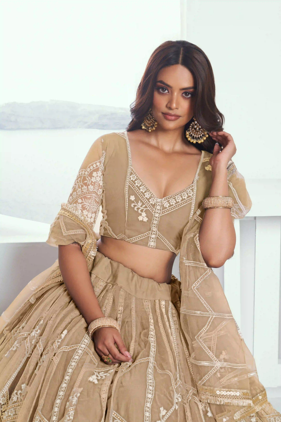 Ethereal Butterfly Net Lehenga with Thread Embroidery Work