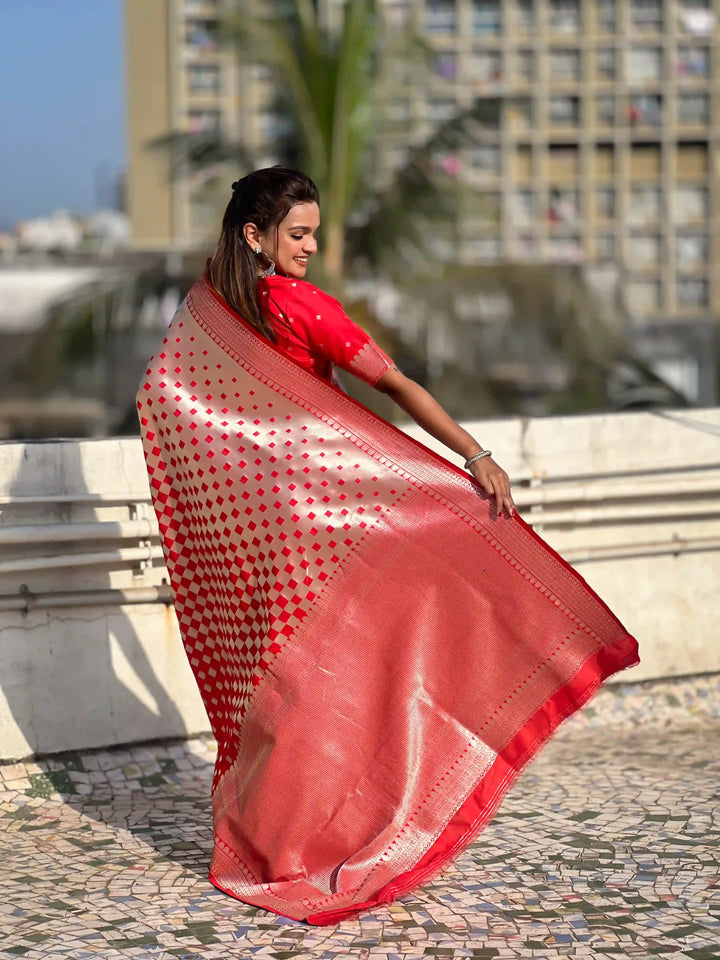 Banarasi Silk Sarees with Silver Jari Checks Work
