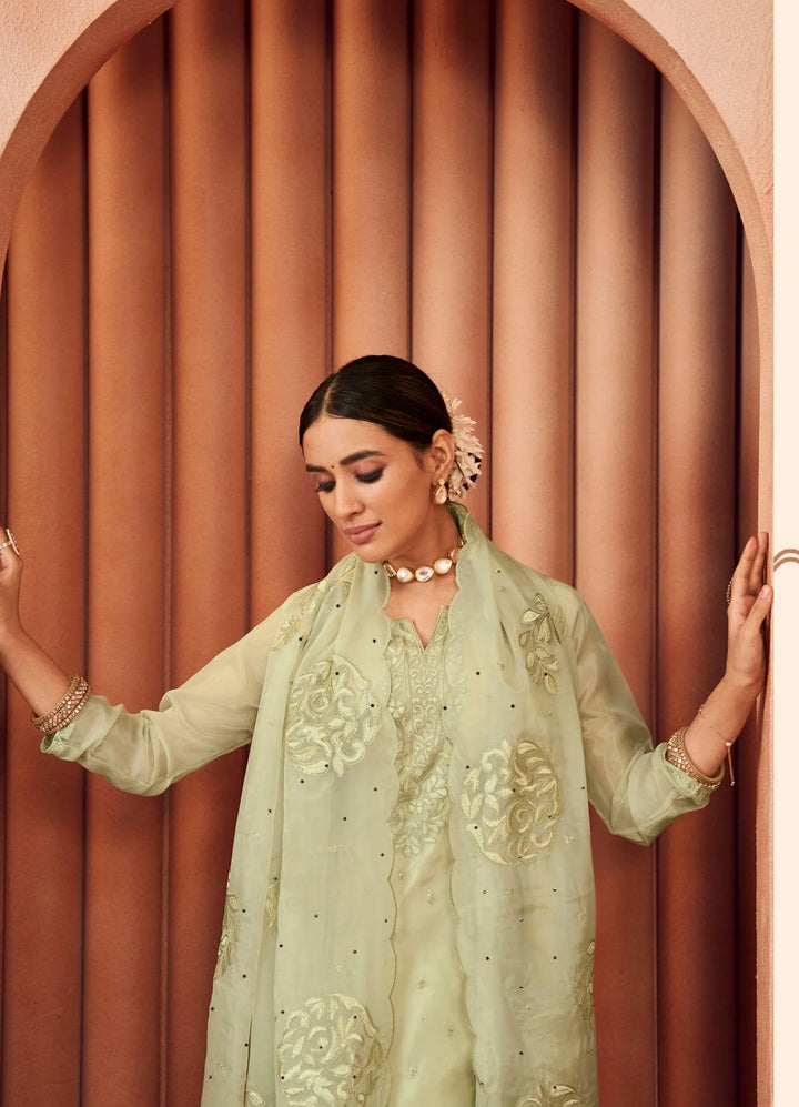 Premium Organza Salwar Suit with Artistic Thread Embroidery