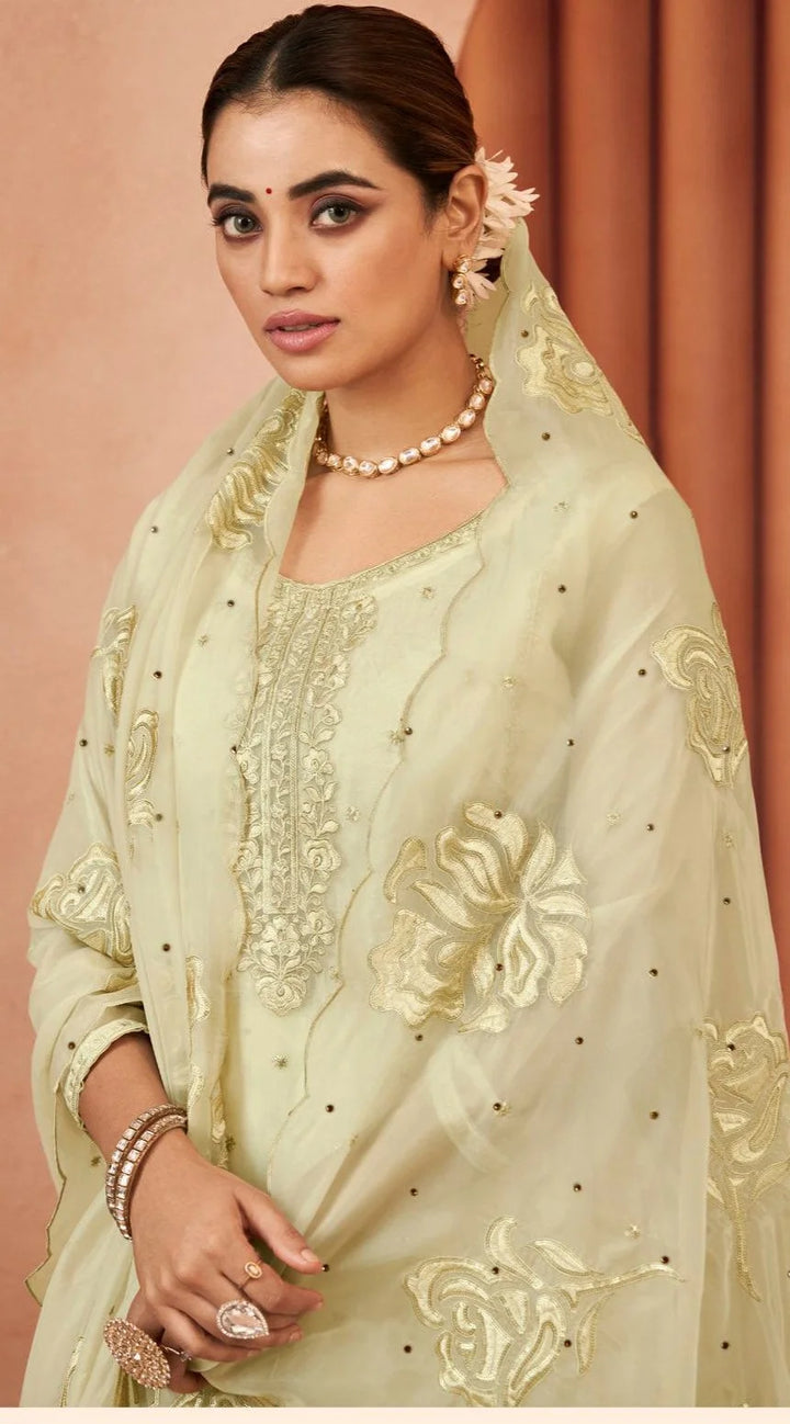 Premium Organza Salwar Suit with Artistic Thread Embroidery
