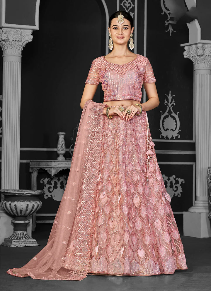 Mesmerizing Embroidered Net Lehenga for Traditional Wear