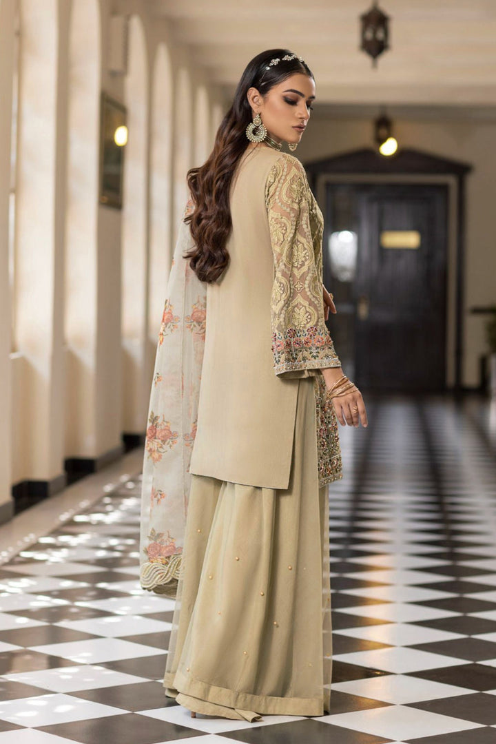 Chiku Luxury Salwar Kameez | Organza Dupatta & Stylish Embroidery
