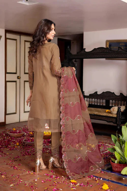 Chic Coffee Brown Organza Suit | Sophisticated Ethnic Wear for Women