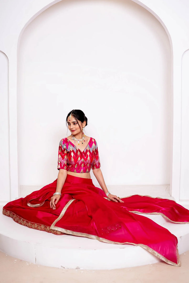 Maroon Amaira Lehenga Set