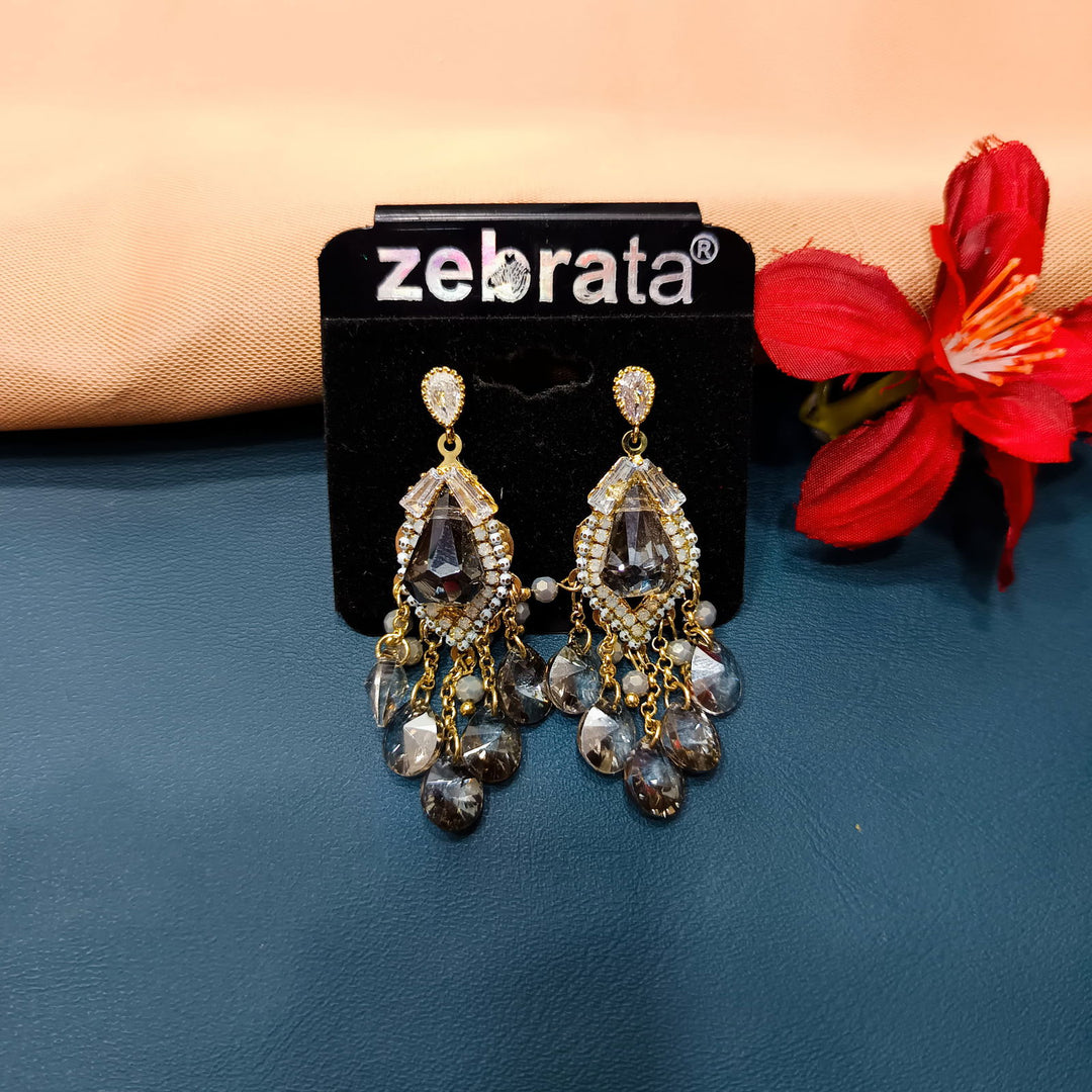 WESTERN EARRINGS - SilverBin