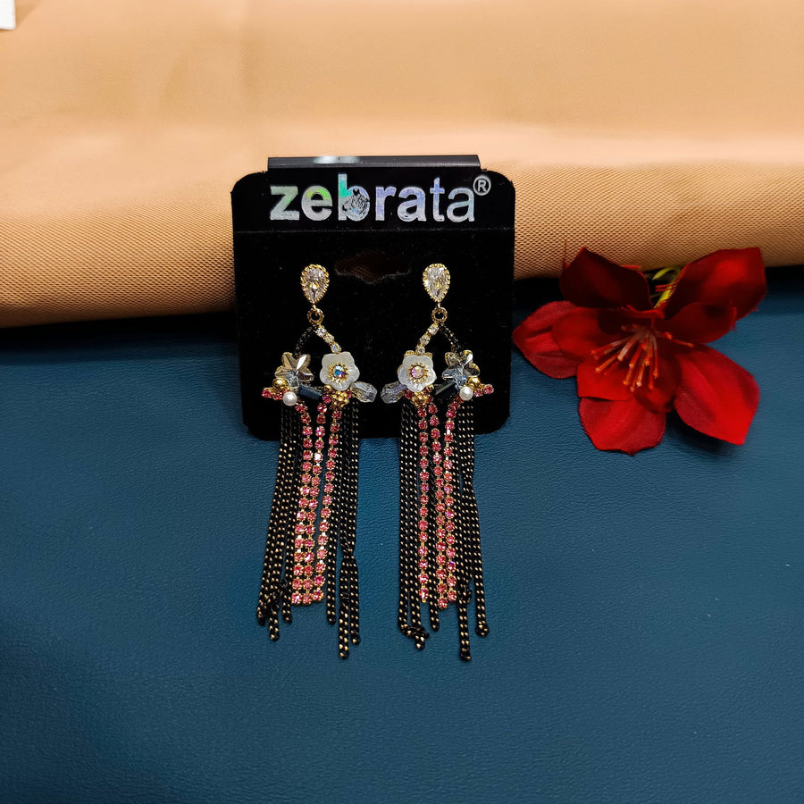 WESTERN EARRINGS - SilverBin