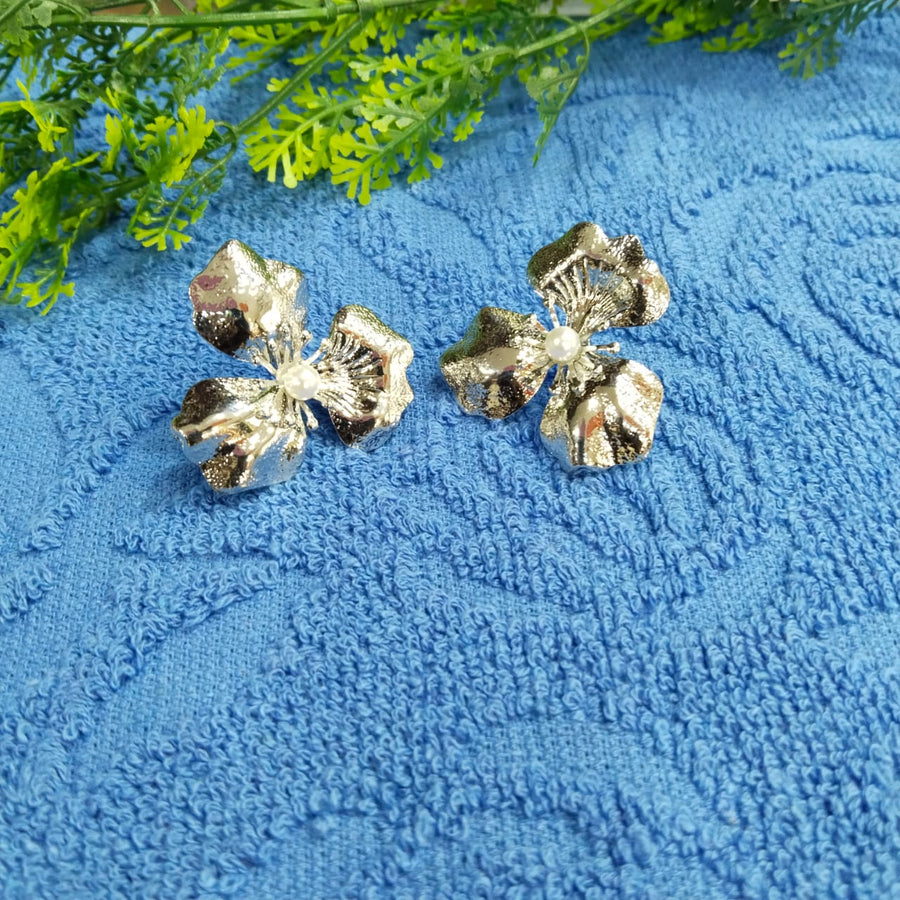 WESTERN EARRINGS - SilverBin