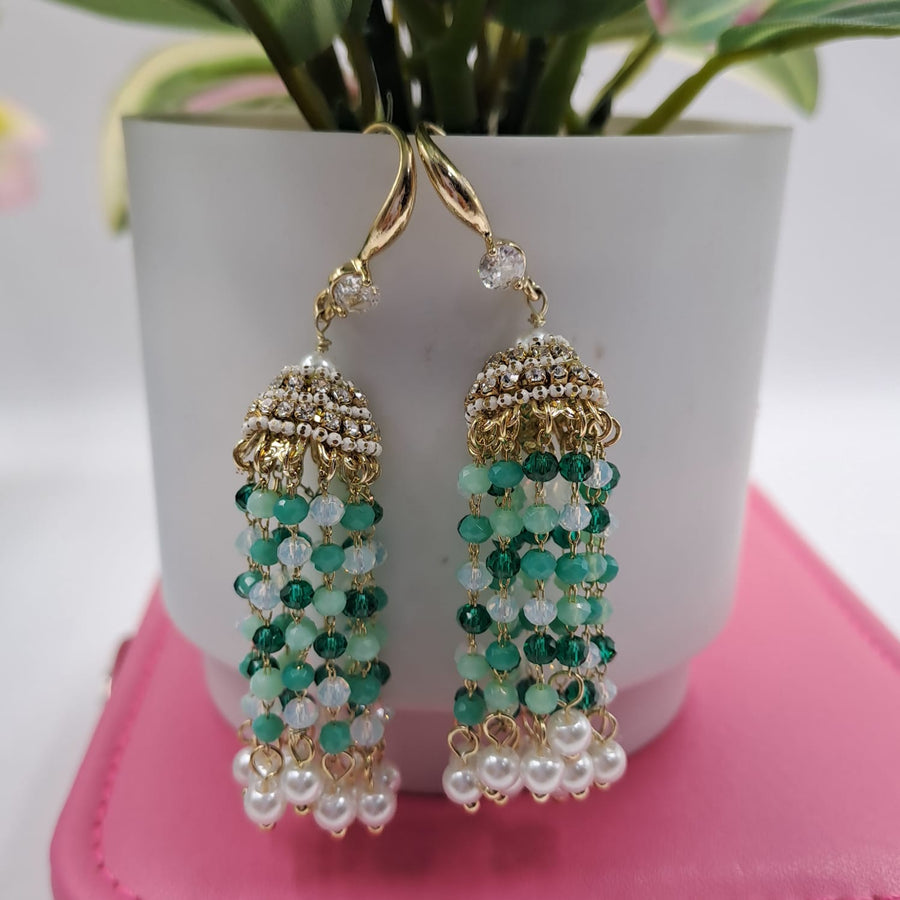 WESTERN EARRINGS - SilverBin