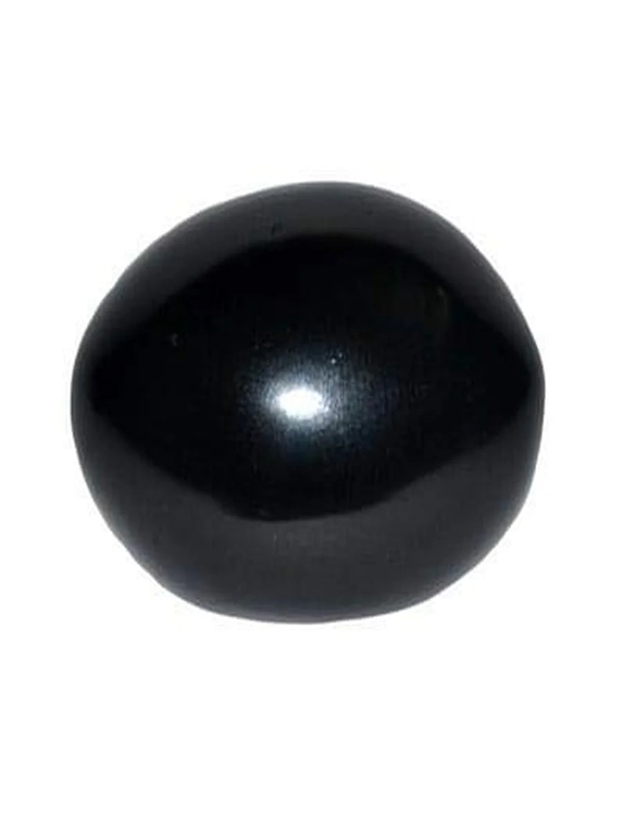 Natural Black Stone Shaligram Shila for Pooja for Divine Blessings