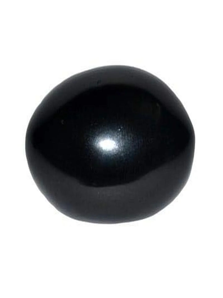 Natural Black Stone Shaligram Shila for Pooja for Divine Blessings
