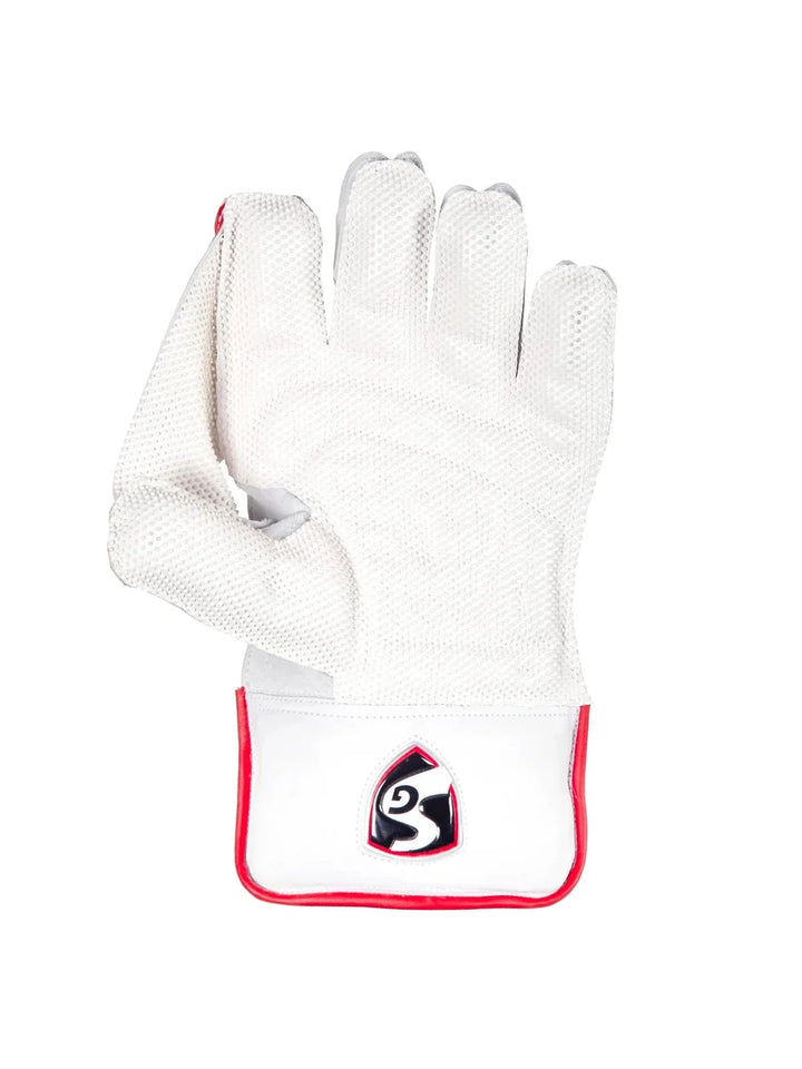 SG Test Wicket Keeping Gloves (Multi-Color)