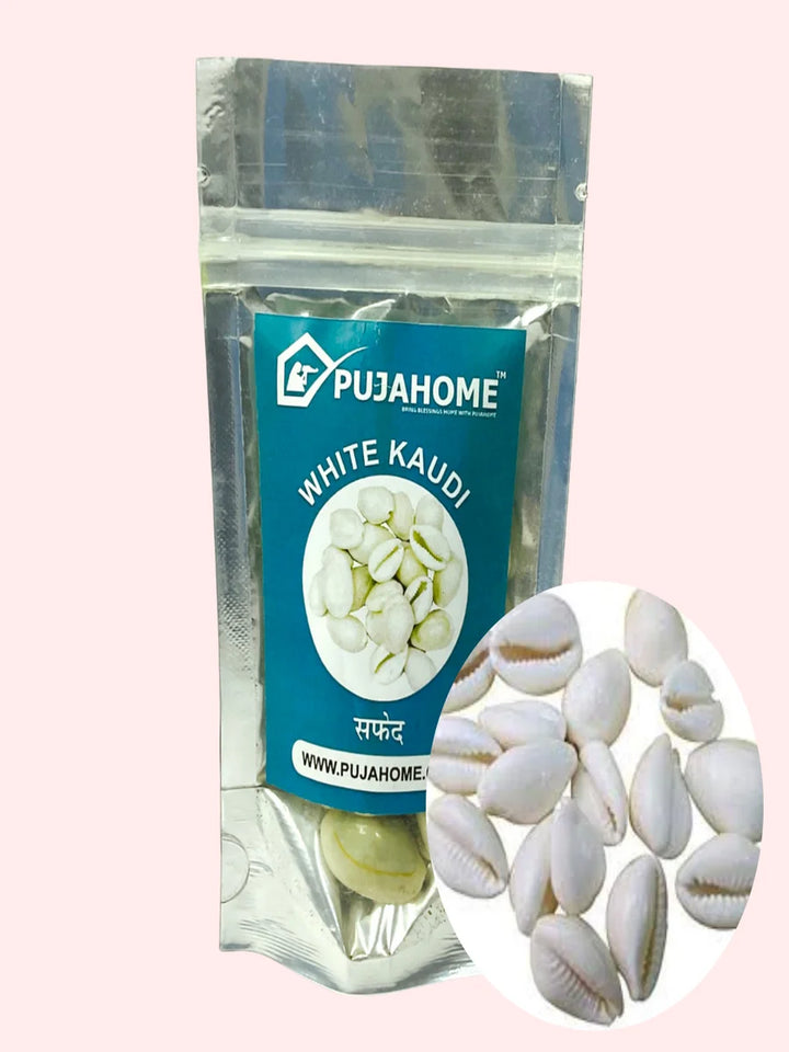 White Kodi/Laxmi Cowdi/Kauri/Kowri/Cowry/Kaudi/Cowrie