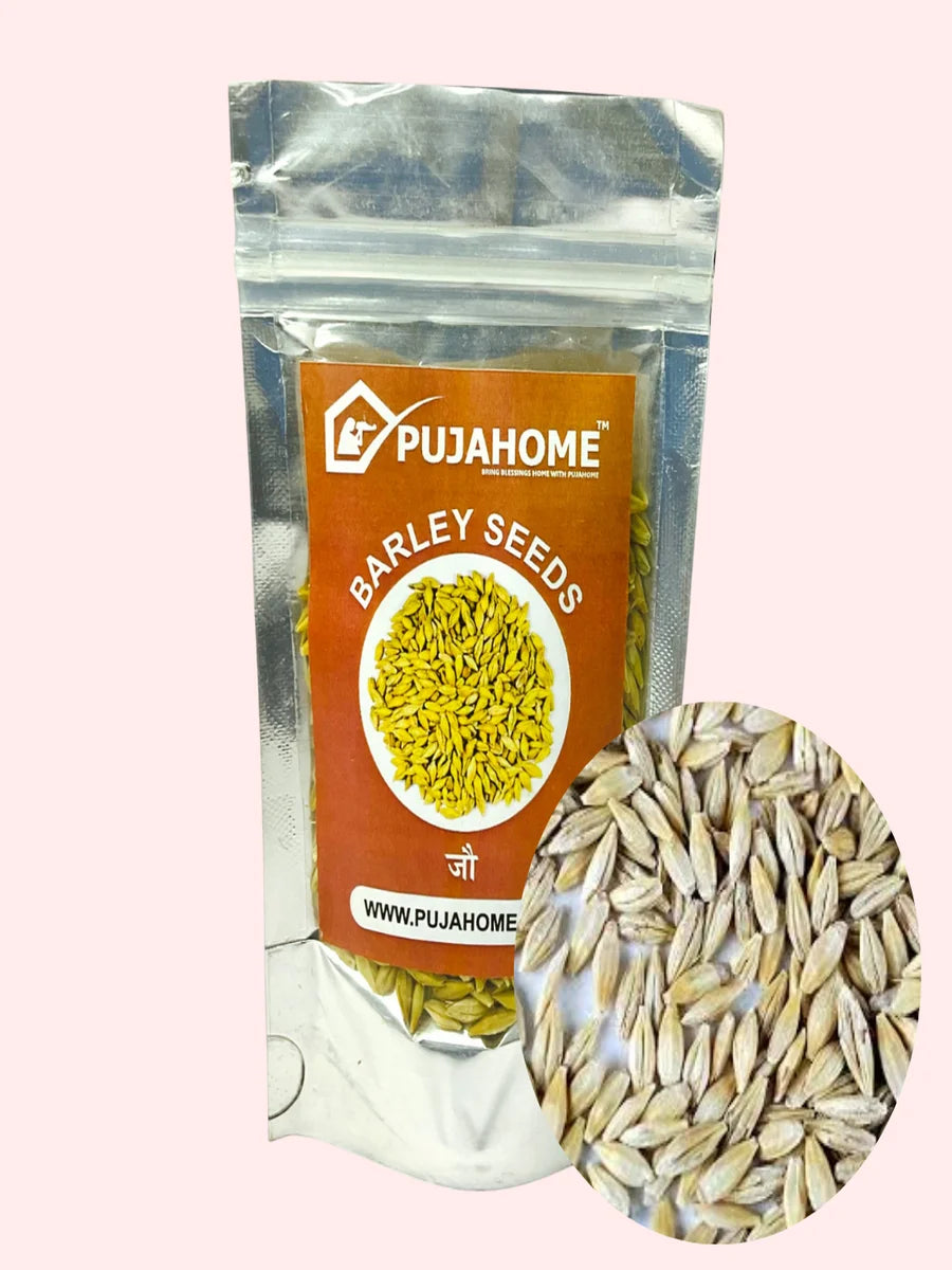 Organic Nature Raw Barley Seeds Jau For Puja