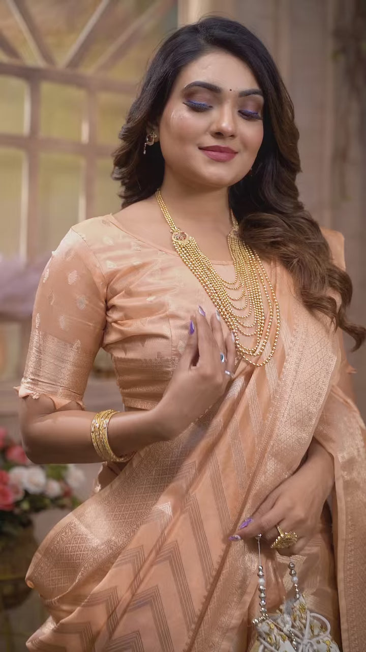 Stylish Organza Saree | Wevon Jari Designer Saree for Weddings & Celebrations