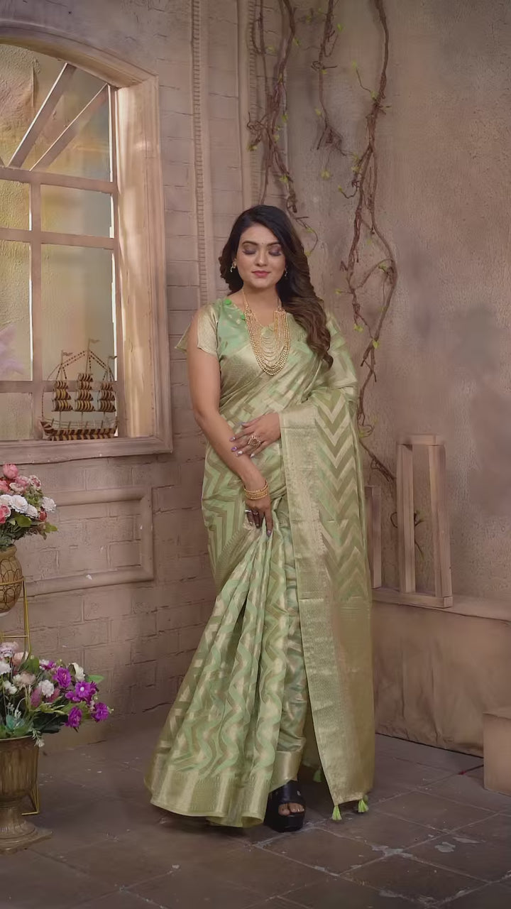 Stylish Organza Saree | Wevon Jari Designer Saree for Weddings & Celebrations