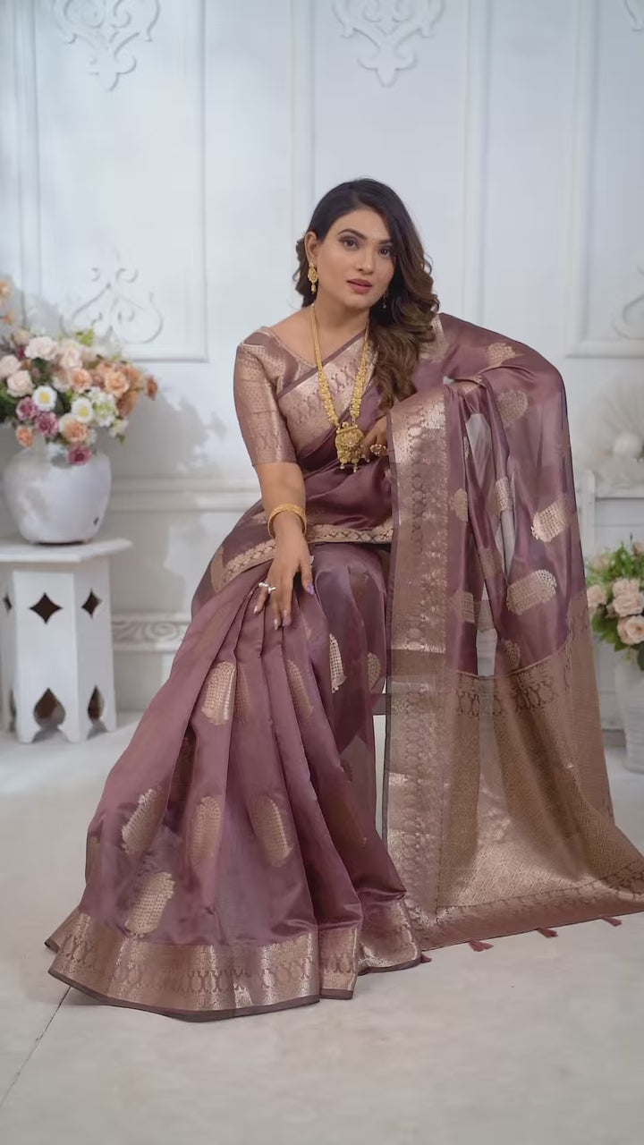 Luxurious Organza Saree | Wevon Gold Jari Embellished for Royal Look