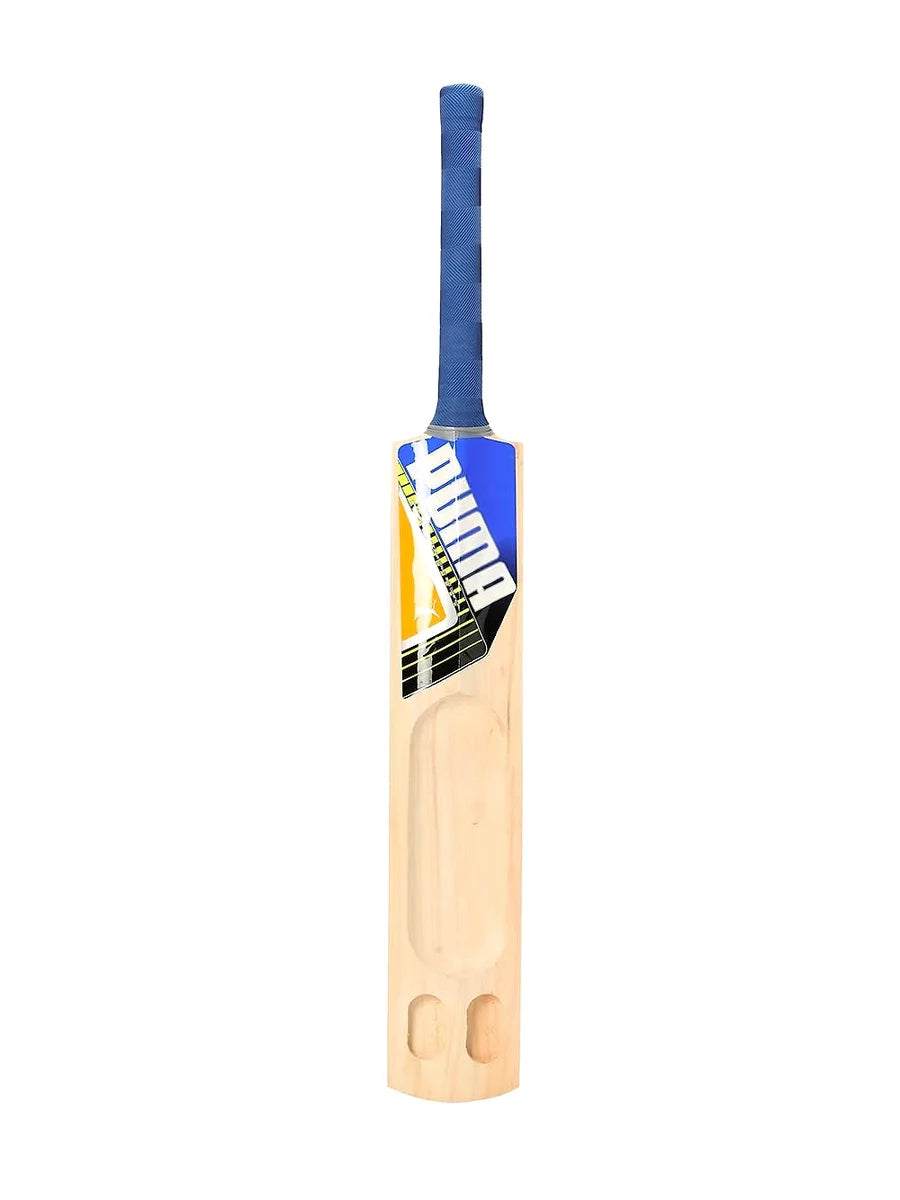 Puma Men's Future STB 1.3 KW Cricket Bat