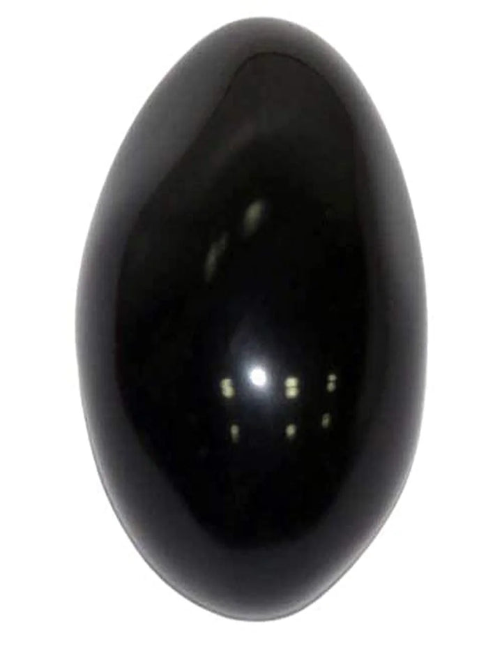 Natural Black Stone Shaligram Shila for Pooja for Divine Blessings